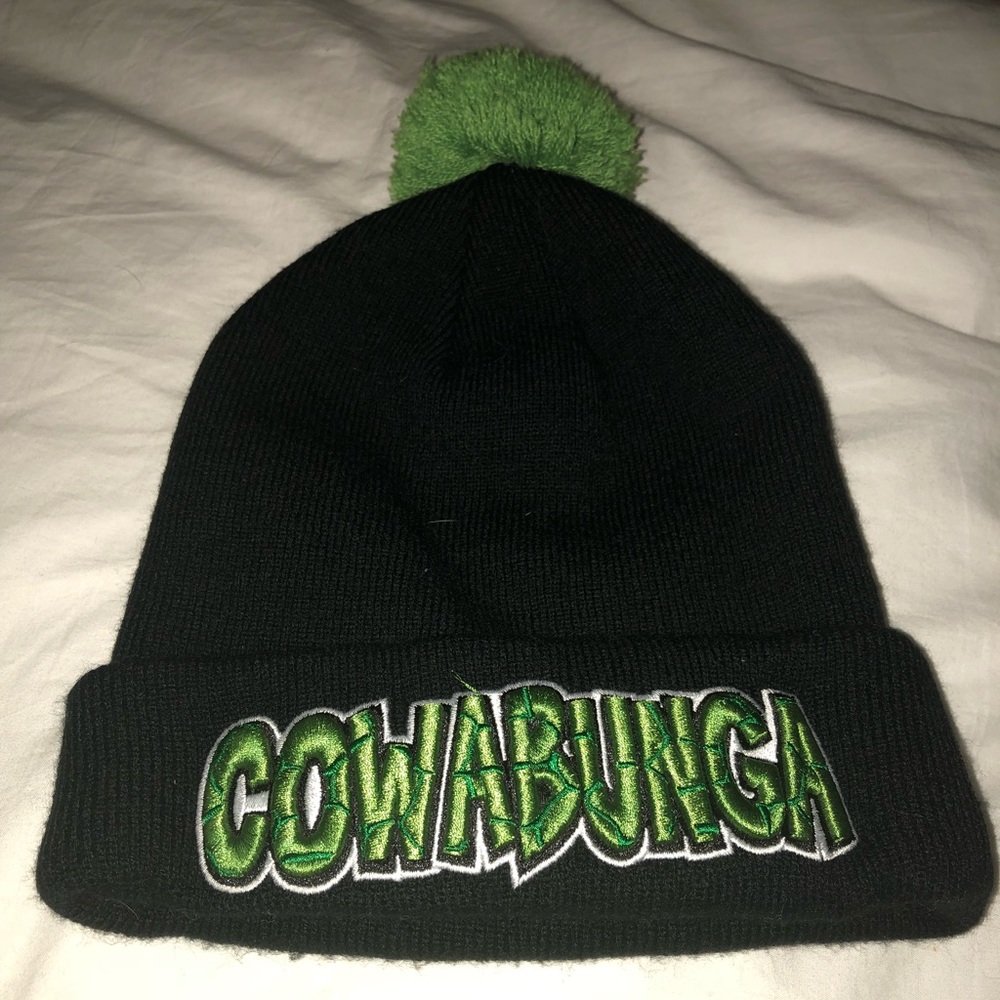 Ninja Turtle Beanie